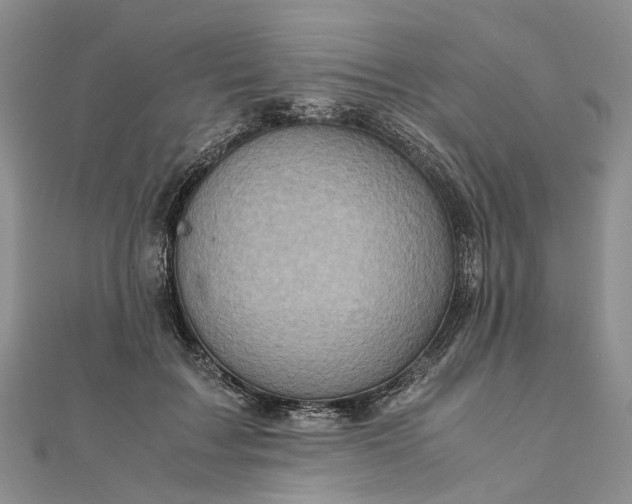 X0000111920603200908101223