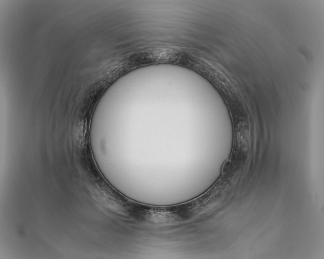 X0000111920605200908101223