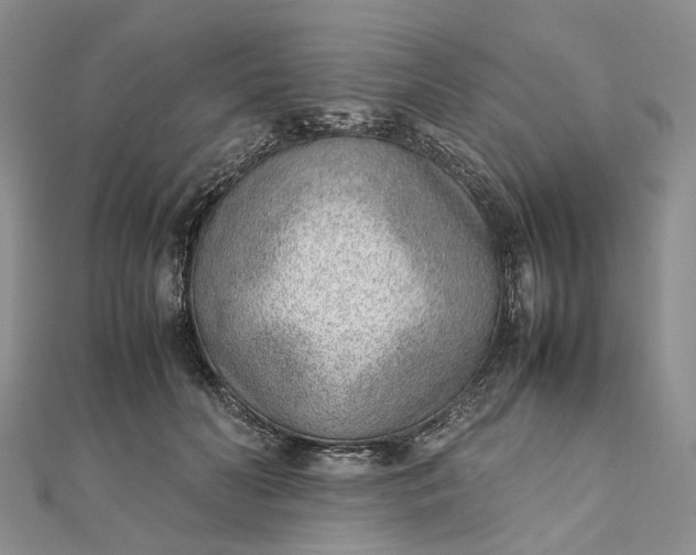 X0000111920606200908101223