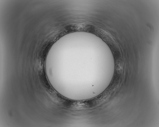 X0000111920607200908101223