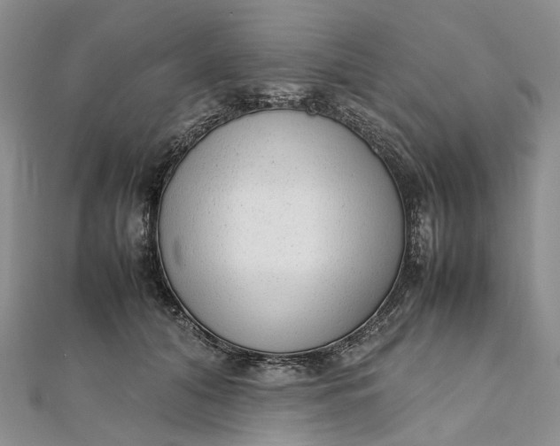 X0000111920608200908101223