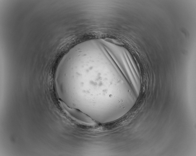 X0000111920609200908101223