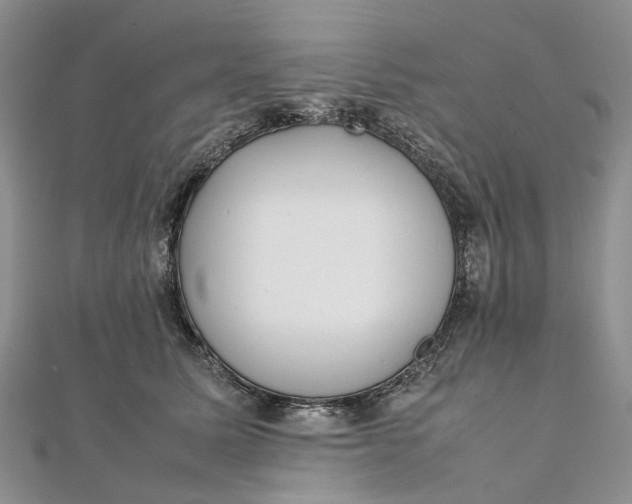 X0000111920611200908101222