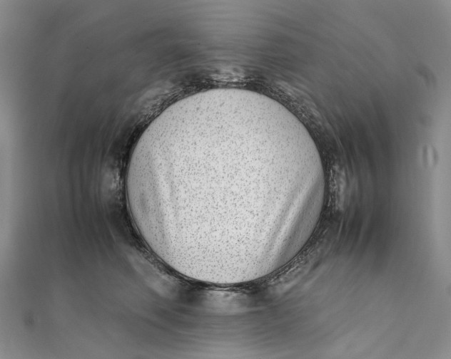 X0000111920614200908101222