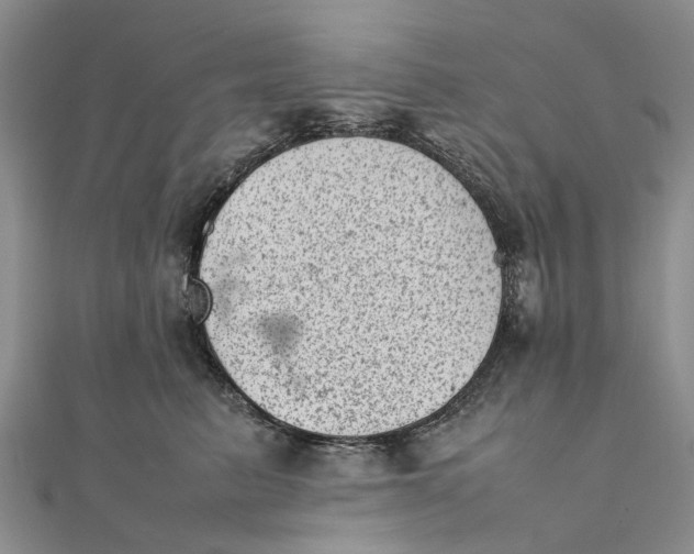 X0000111920615200908101222