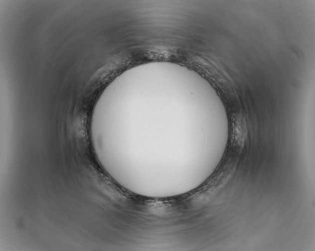 X0000111920616200908101222