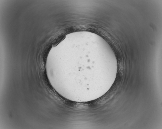 X0000111920617200908101222