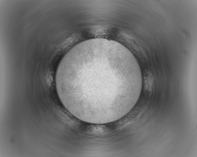 X0000111920618200908101222