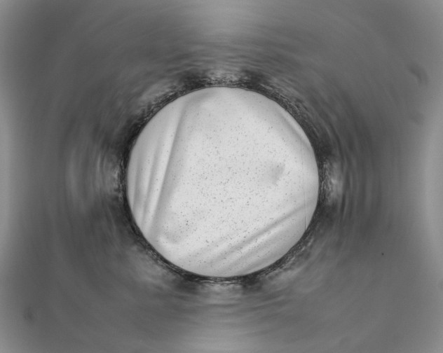 X0000111920619200908101222