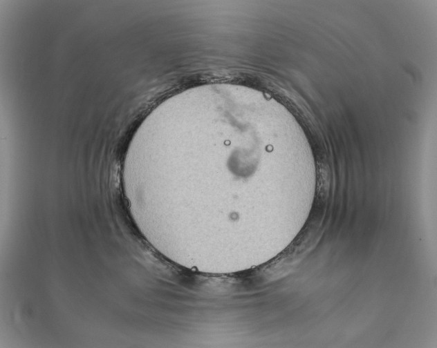 X0000111920621200908101222