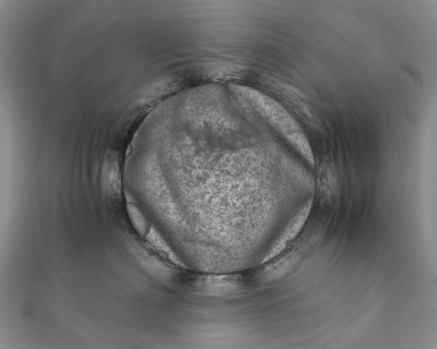 X0000111920622200908101222