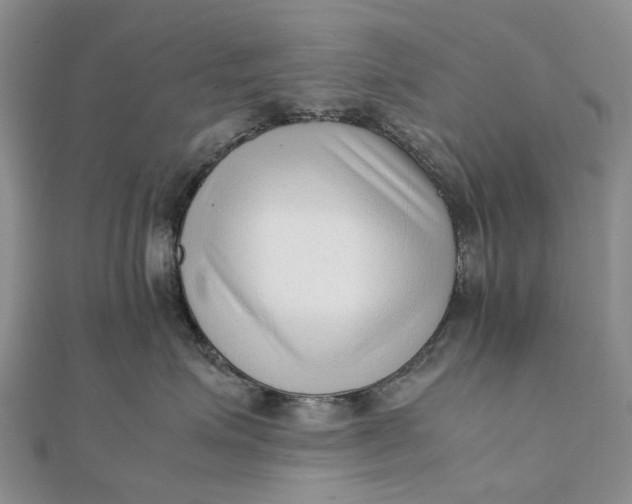 X0000111920623200908101222