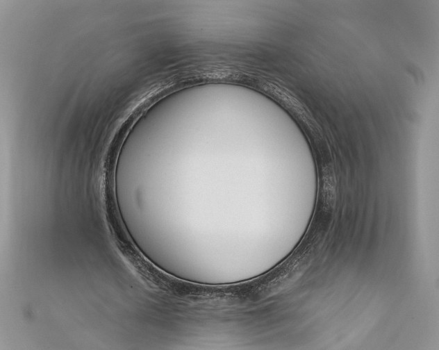 X0000111920626200908101222