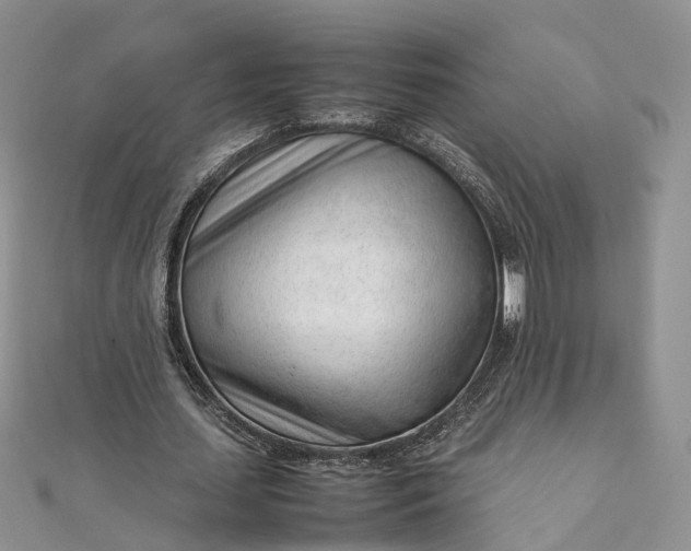 X0000111920627200908101222