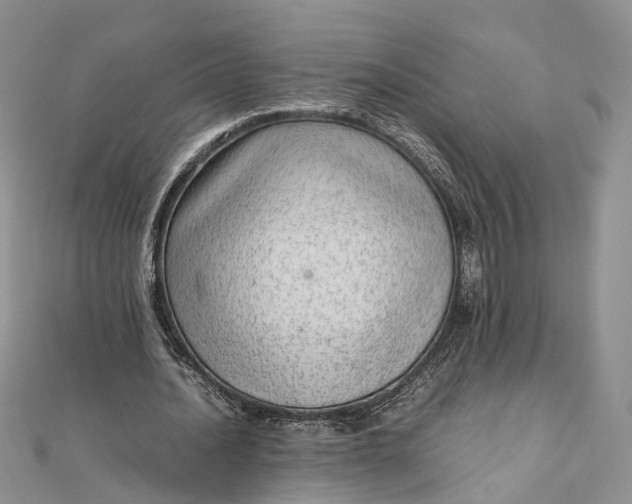 X0000111920628200908101222