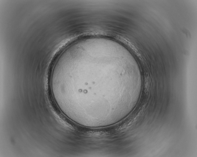 X0000111920629200908101222