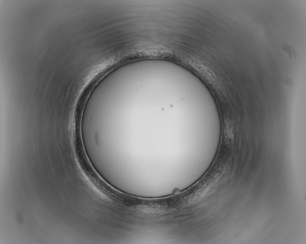 X0000111920630200908101222