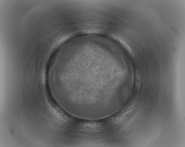 X0000111920631200908101222