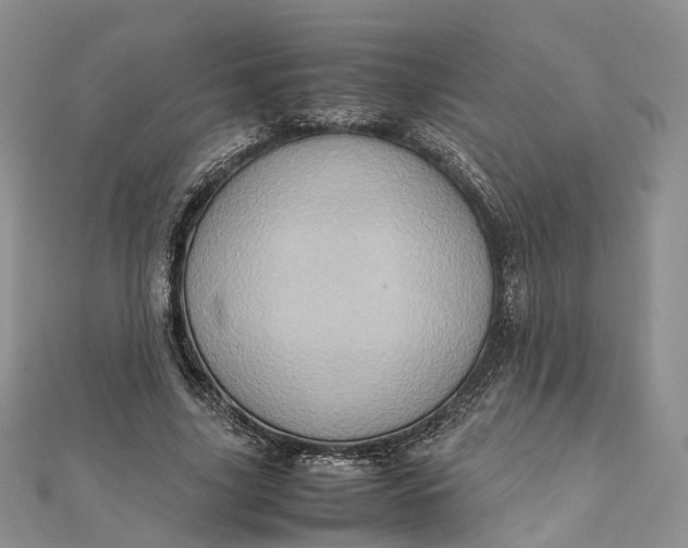 X0000111920635200908101222