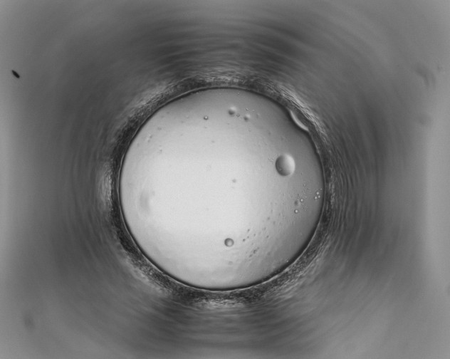 X0000111920637200908101222