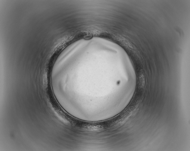 X0000111920638200908101222