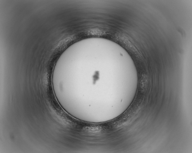 X0000111920639200908101222