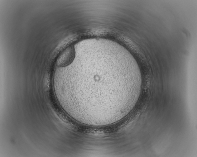 X0000111920640200908101222