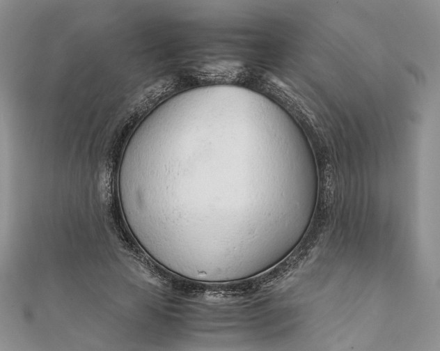 X0000111920641200908101222