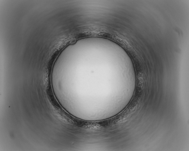 X0000111920642200908101222