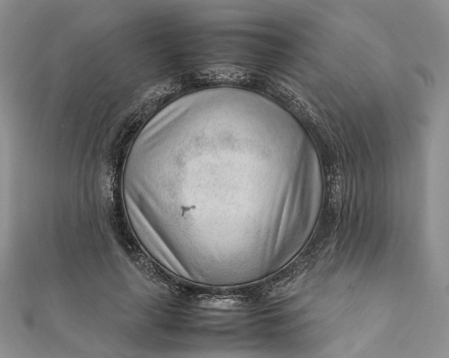 X0000111920643200908101222