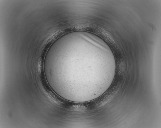 X0000111920644200908101222