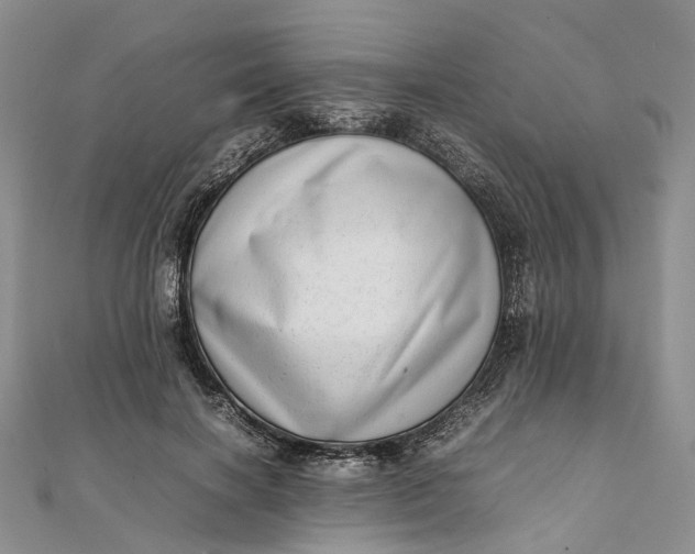 X0000111920646200908101222