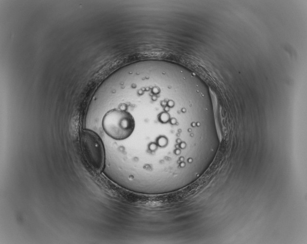 X0000111920647200908101222