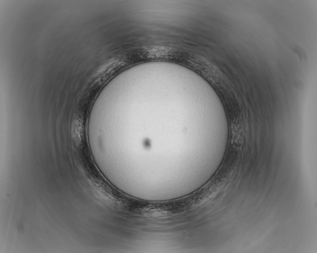 X0000111920648200908101222