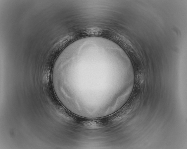 X0000111920652200908101222