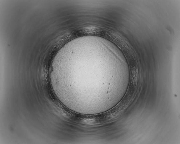 X0000111920653200908101222