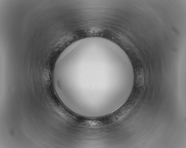 X0000111920654200908101222