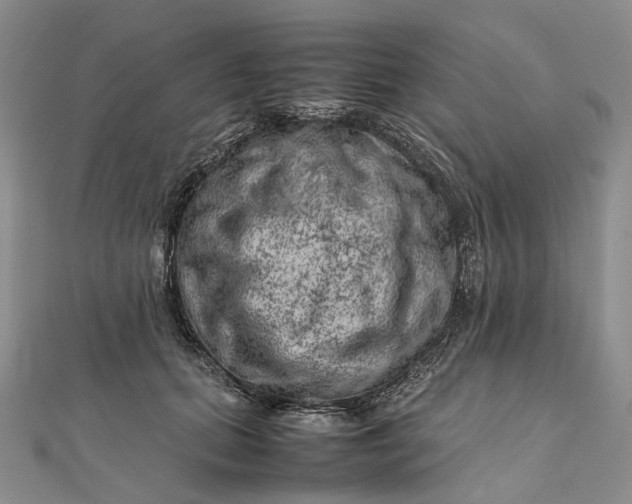 X0000111920655200908101222