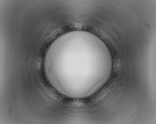 X0000111920656200908101222