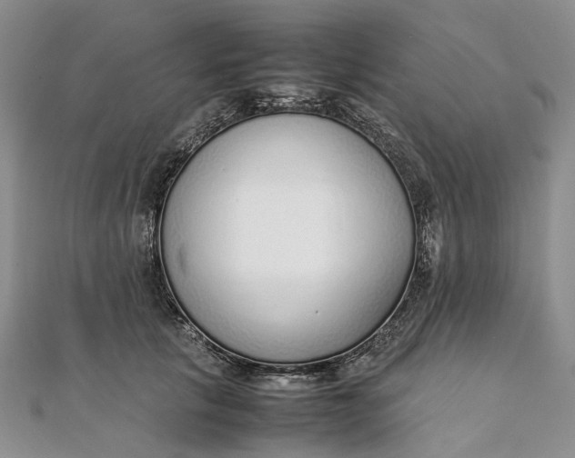 X0000111920657200908101222