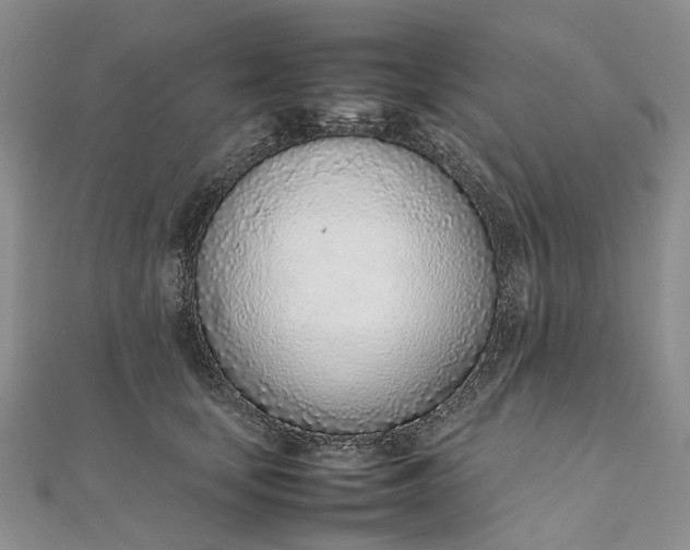 X0000111920659200908101222