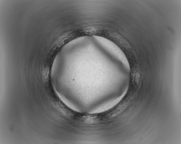 X0000111920660200908101222