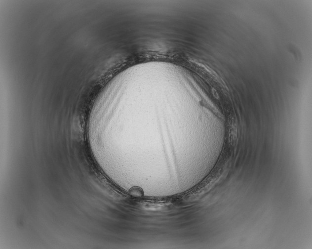 X0000111920661200908101222