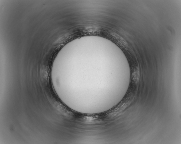 X0000111920662200908101222