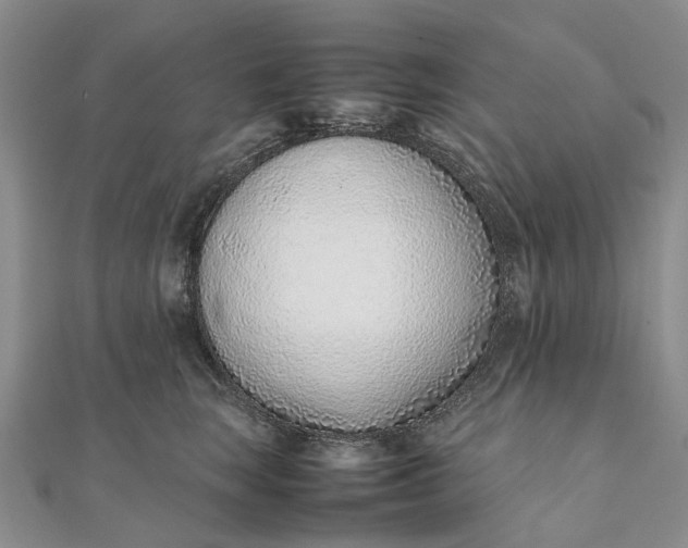 X0000111920663200908101222