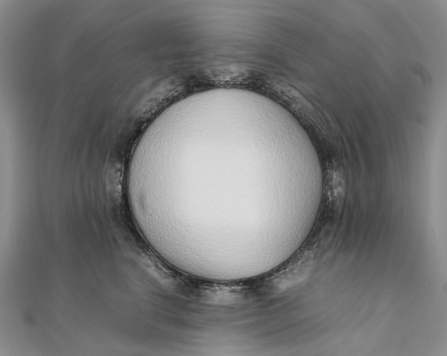 X0000111920664200908101222