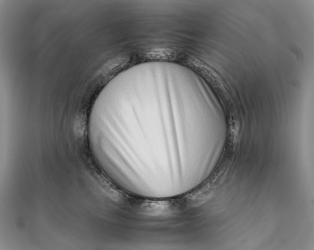 X0000111920665200908101222