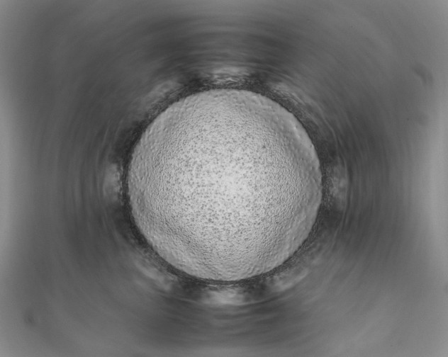 X0000111920667200908101222