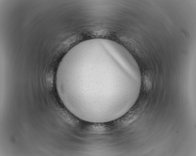 X0000111920668200908101222