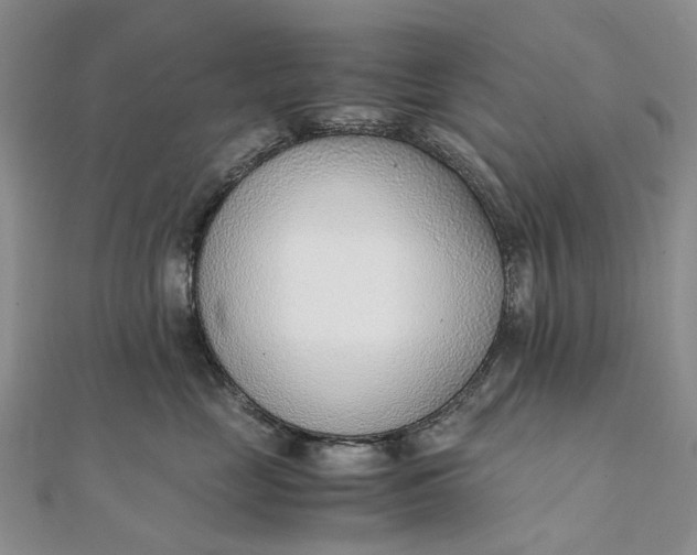 X0000111920669200908101222